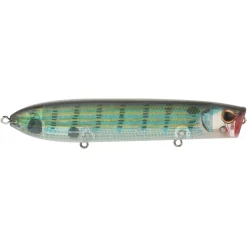 Cane Walker Saltwater