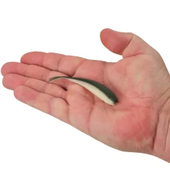 Gulp! Alive!® Minnow