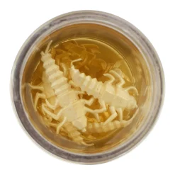 Gulp! Alive!® Stonefly