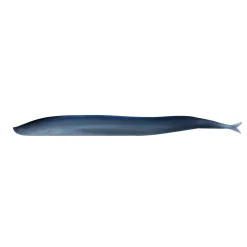 Gulp!® Saltwater Sand Eel