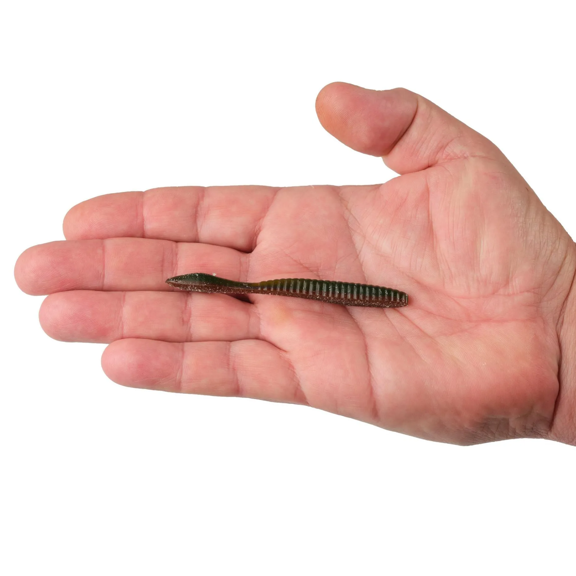 Lab Series™ Flat Worm