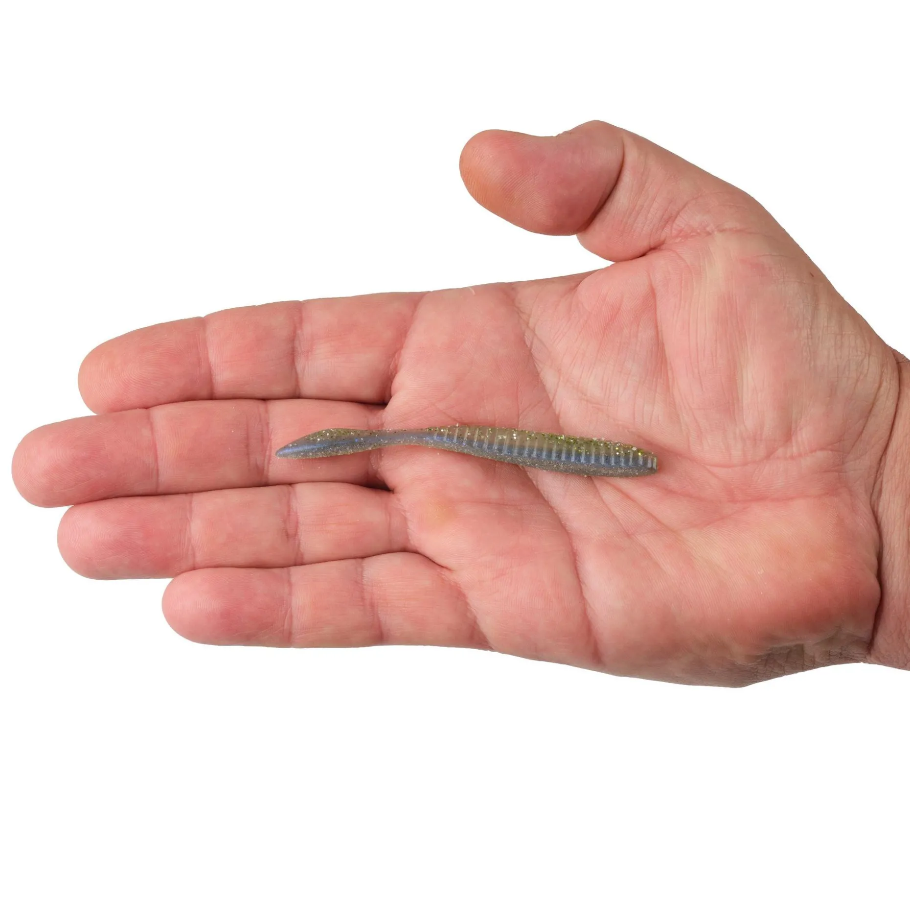 Lab Series™ Flat Worm