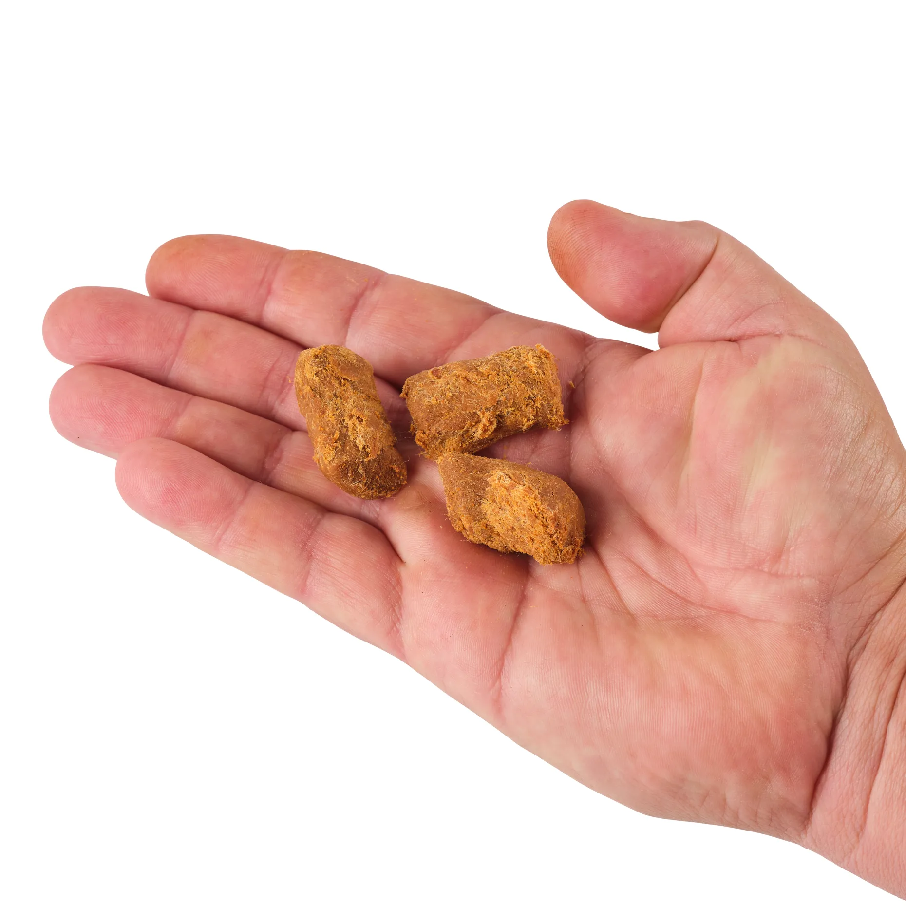 PowerBait® Catfish Bait Chunks