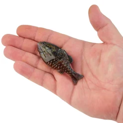 PowerBait® Gilly