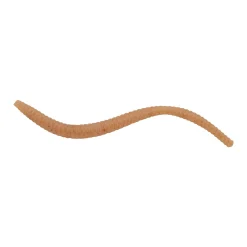 PowerBait® Power® Floating Trout Worm