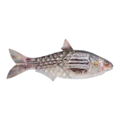 PowerBait® Saltwater Gillydine
