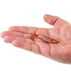 PowerBait® Saltwater The Champ Swimmer