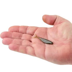 PowerBait® The Champ Minnow
